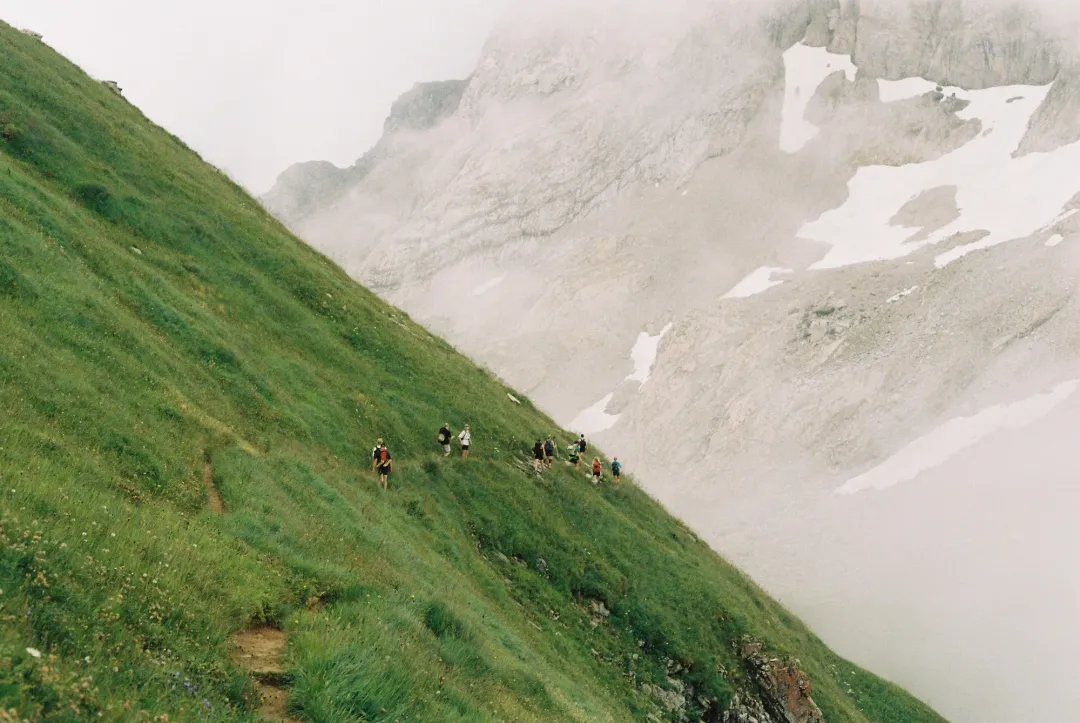 Into the Mist
