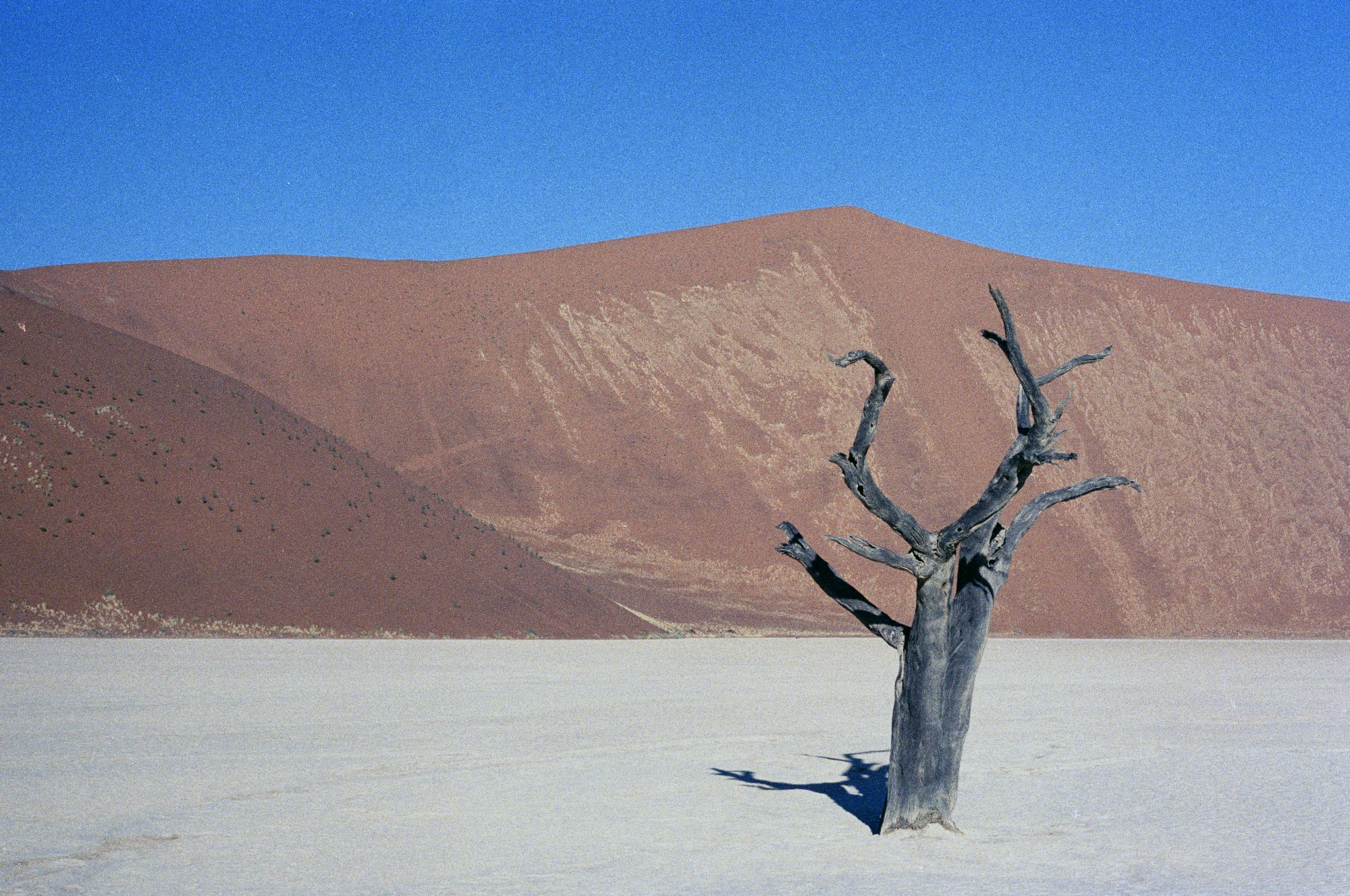Sossusvlei
