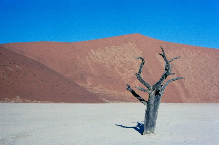 Sossusvlei